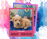 Image preview for Ad Listing. Nickname: Adalin