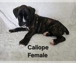 Image preview for Ad Listing. Nickname: Caliope