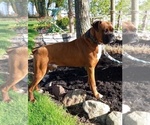 Image preview for Ad Listing. Nickname: Mason