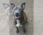 Small #3 Breeder Profile image