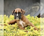 Image preview for Ad Listing. Nickname: Tilly