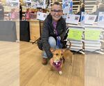 Small #1 Mutt