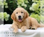 Image preview for Ad Listing. Nickname: Archer