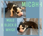 Image preview for Ad Listing. Nickname: Micah