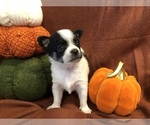 Image preview for Ad Listing. Nickname: Gabe