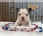 Image preview for Ad Listing. Nickname: Topper