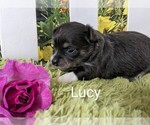 Image preview for Ad Listing. Nickname: Lucy ACA