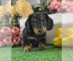 Image preview for Ad Listing. Nickname: Digger