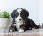 Image preview for Ad Listing. Nickname: Demi
