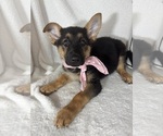 Image preview for Ad Listing. Nickname: Gracie