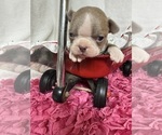 Image preview for Ad Listing. Nickname: Rizzo