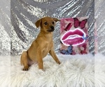 Image preview for Ad Listing. Nickname: Hannah