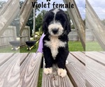 Image preview for Ad Listing. Nickname: Violet female