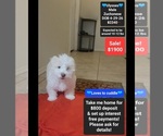 Image preview for Ad Listing. Nickname: Ulysses