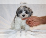 Image preview for Ad Listing. Nickname: Alistair