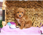 Image preview for Ad Listing. Nickname: Gabriela