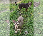 Small #5 - Mix