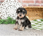 Image preview for Ad Listing. Nickname: Charlie