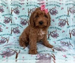 Image preview for Ad Listing. Nickname: Blaire