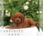 Image preview for Ad Listing. Nickname: Corey