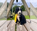 Image preview for Ad Listing. Nickname: Yellow female