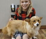 Image preview for Ad Listing. Nickname: Maple Fluffy P