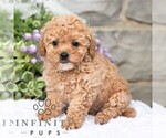 Image preview for Ad Listing. Nickname: Anita