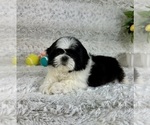 Image preview for Ad Listing. Nickname: Saint