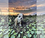 Image preview for Ad Listing. Nickname: 4th Male