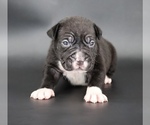Image preview for Ad Listing. Nickname: Perseus