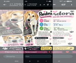 Pandora - Female Labrador Retriever-Unknown Mix Dog for Adoption - Small photo
