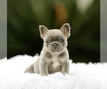 Image preview for Ad Listing. Nickname: WYATT