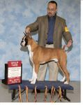 Medium Photo #14 Boxer Puppy For Sale in GRAYSON, GA, USA