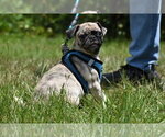Image preview for Ad Listing. Nickname: Bumble
