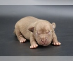 Image preview for Ad Listing. Nickname: Sandy