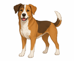 Small Mutt