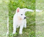 Image preview for Ad Listing. Nickname: Ayla