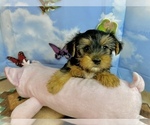 Image preview for Ad Listing. Nickname: Epic