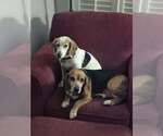 Small #3 Breeder Profile image