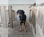 Small #3 Breeder Profile image