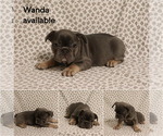 Image preview for Ad Listing. Nickname: Wanda