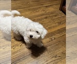 Image preview for Ad Listing. Nickname: Madison
