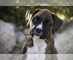 Image preview for Ad Listing. Nickname: Cole