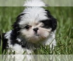 Image preview for Ad Listing. Nickname: Jack