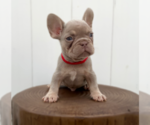 Image preview for Ad Listing. Nickname: BRODY ISABELLA