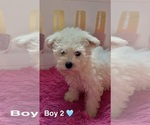 Image preview for Ad Listing. Nickname: Boy 2