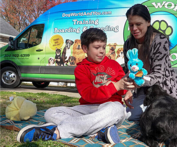 Medium Photo #5 Black Russian Terrier Puppy For Sale in S CHARLESTON, WV, USA