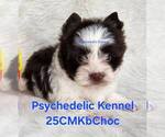 Image preview for Ad Listing. Nickname: 25CMMKbChocBoy