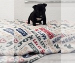Image preview for Ad Listing. Nickname: Mila