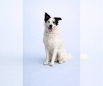 Small #3 Breeder Profile image